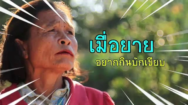 ​บักเขียบ คือ น้อยหน่า