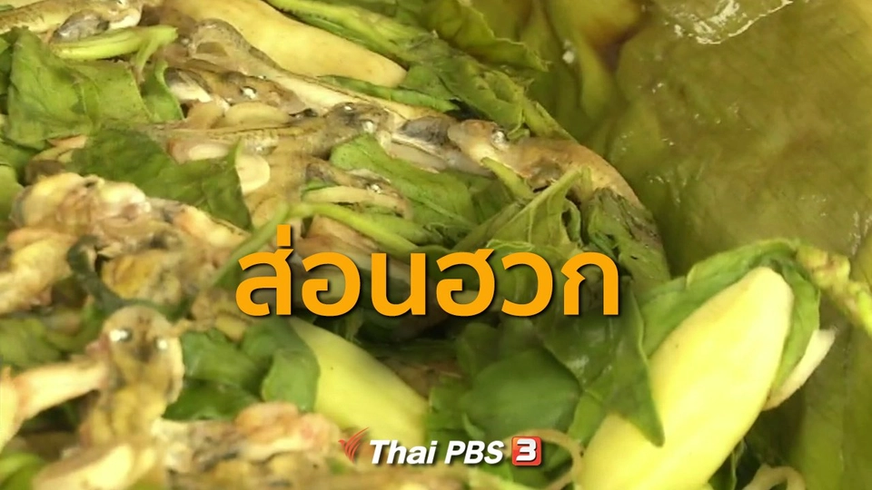 ชุมชนทั่วไทย : ส่อนฮวก (หาลูกอ๊อด)