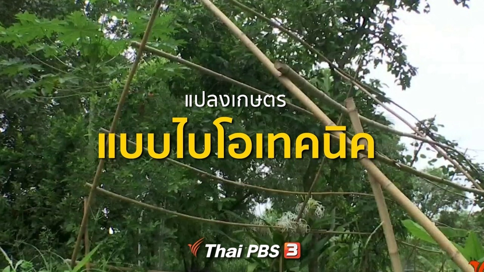 ชุมชนทั่วไทย : แปลงเกษตรแบบไบโอเทคนิค