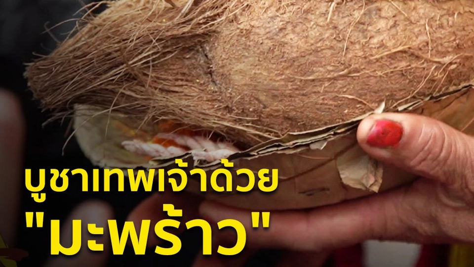 บูชาเทพเจ้าด้วย "มะพร้าว