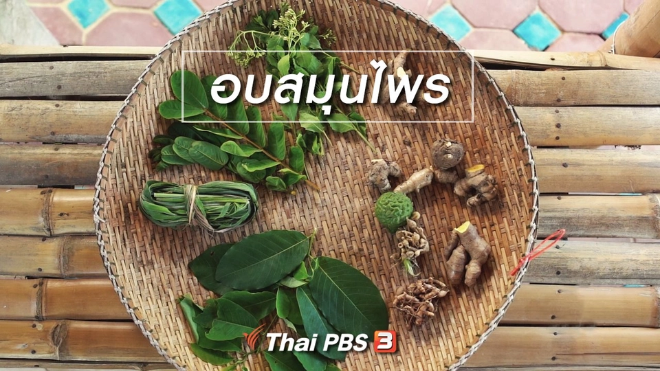 เรียนรู้วิถีไทย : อบสมุนไพร