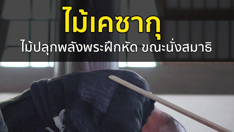 ไม้เคซากุ ไม้ปลุกพลังพระฝึกหัด