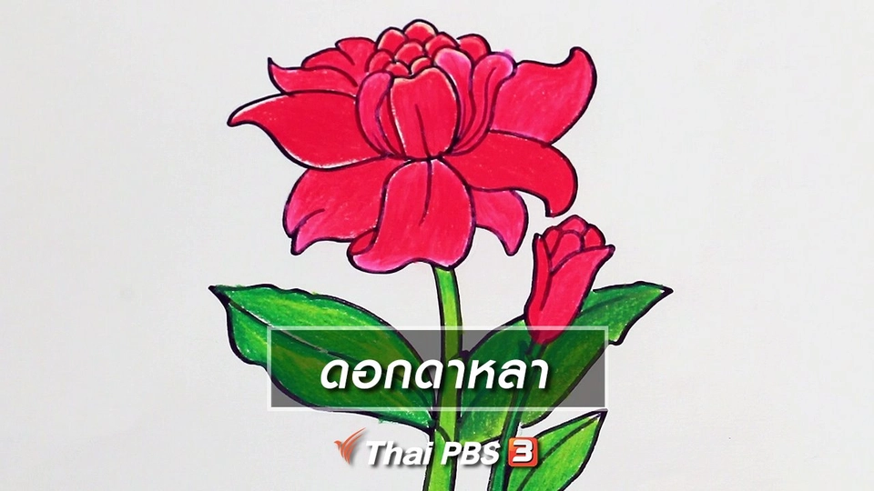 ​สอนศิลป์สอนวาด : ดอกดาหลา