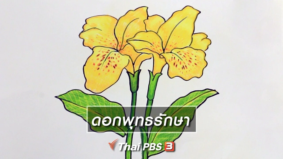 ​สอนศิลป์สอนวาด : ดอกพุทธรักษา
