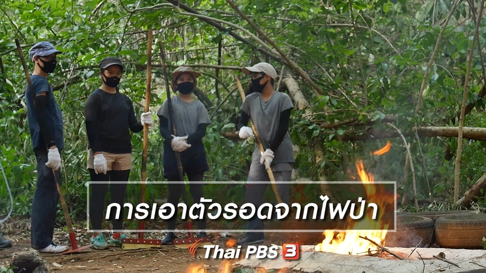 ​คิดส์เรียนรู้ : การเอาตัวรอดจากไฟป่า