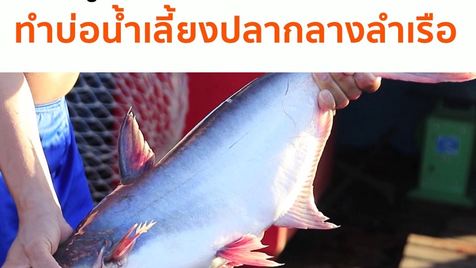 ทำบ่อน้ำเลี้ยงปลากลางลำเรือ