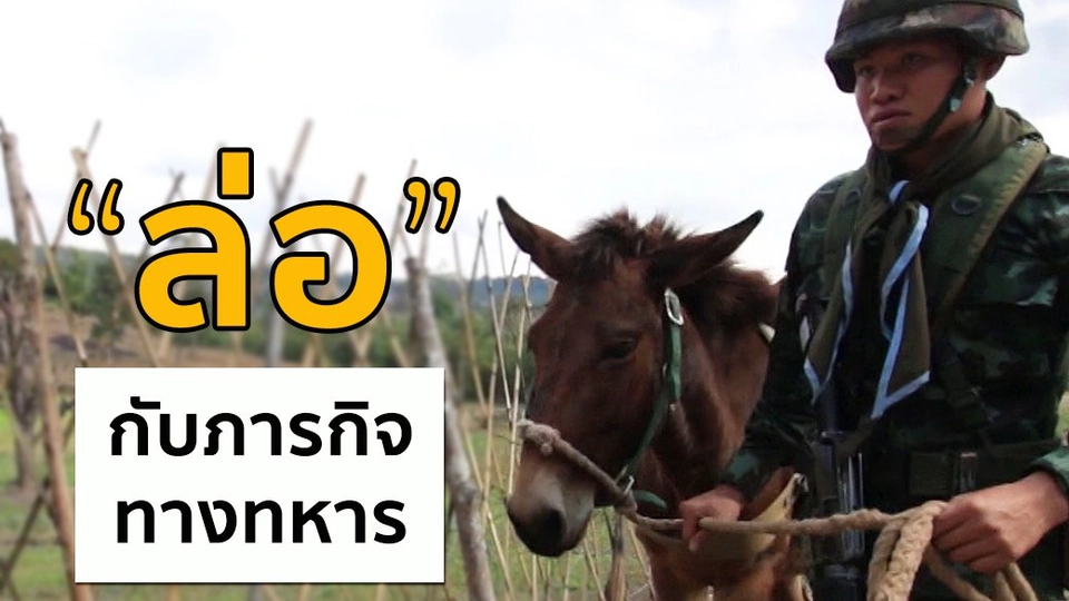 "ล่อ" กับภารกิจทางทหาร