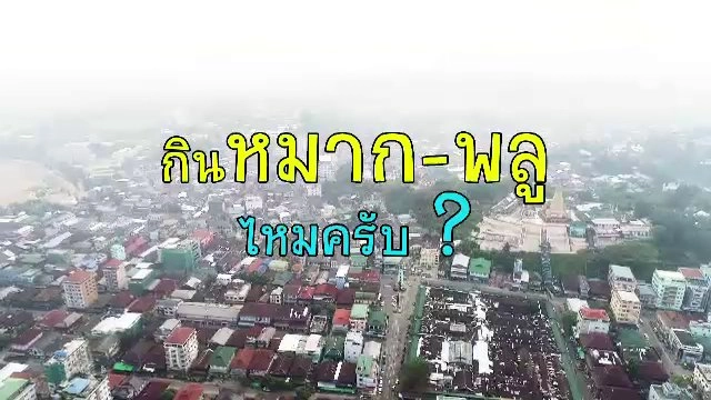 กินหมาก-พลู ไหมครับ?