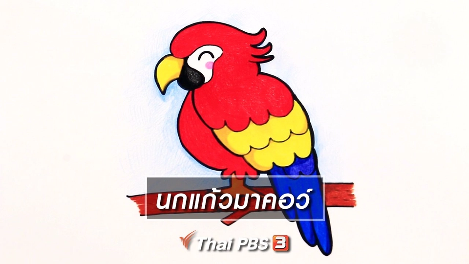 สอนศิลป์สอนวาด : นกแก้วมาคอว์