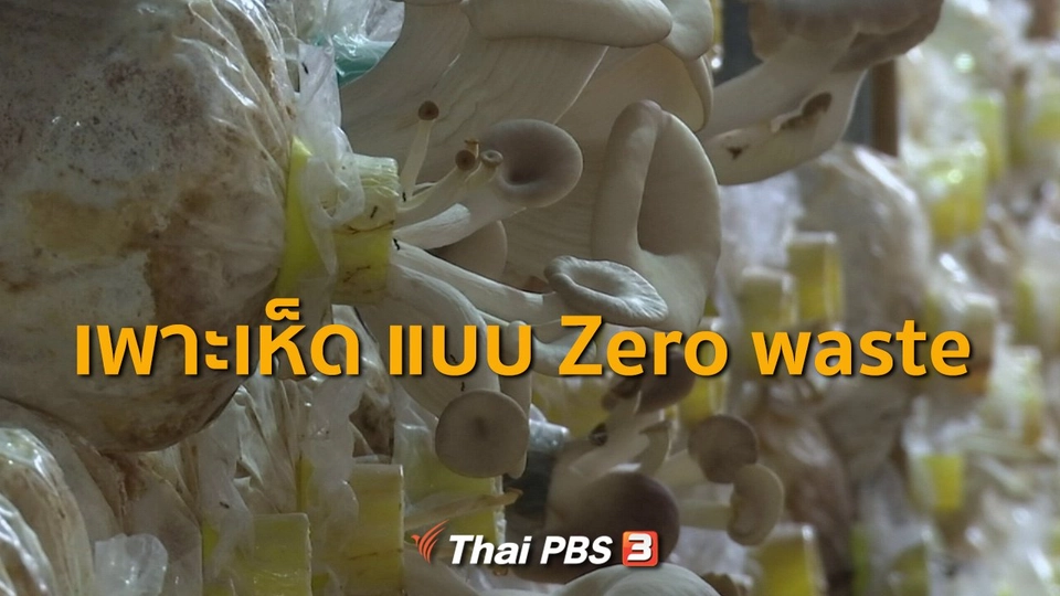 ชุมชนทั่วไทย : เพาะเห็ดครบวงจรไม่เหลือขยะ จ.สมุทรปราการ