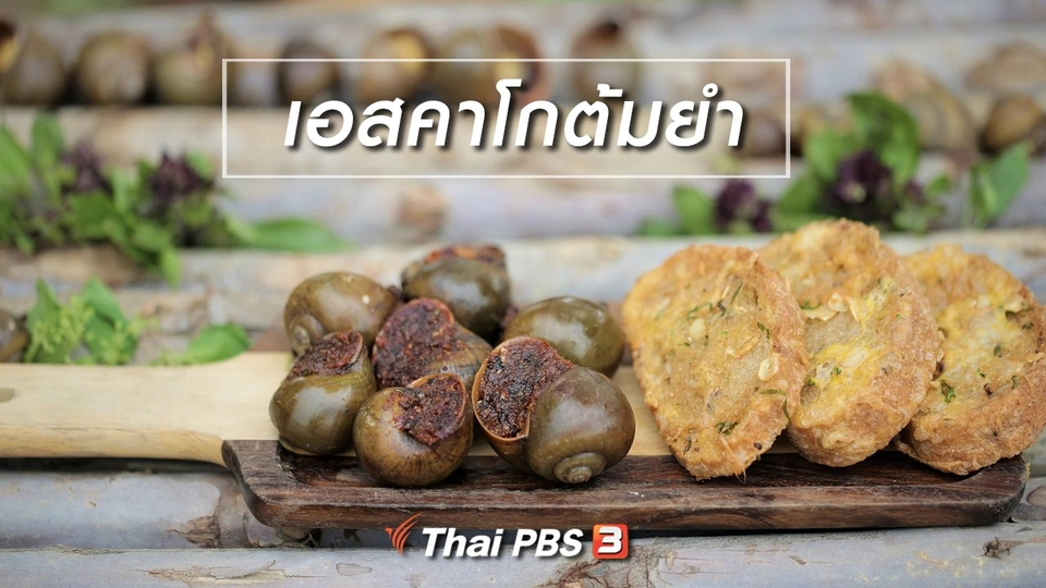 เมนูอาหารฟิวชัน : เอสคาโกต้มยำ