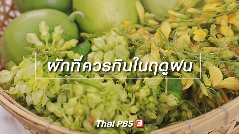 สูตรลับออนไลน์ : ผักที่ควรกินในฤดูฝน