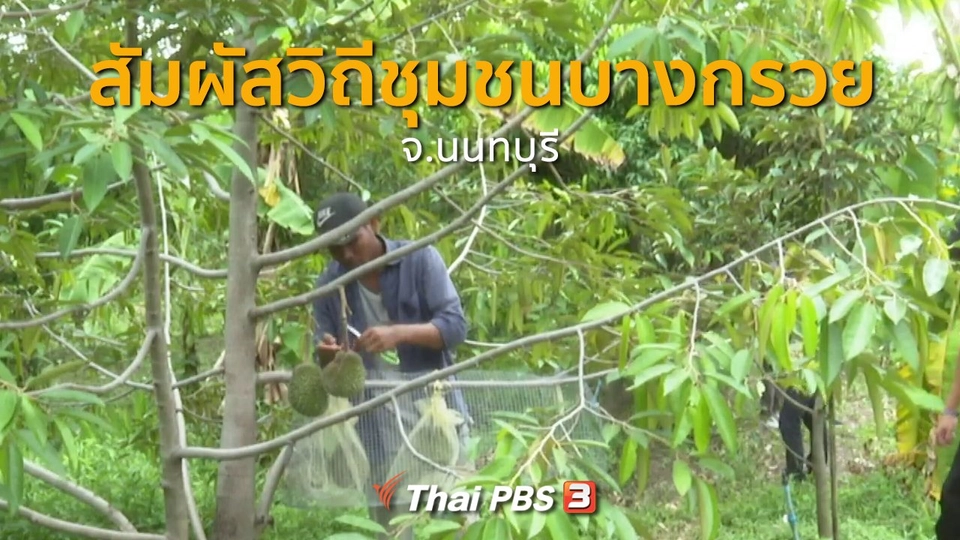 ชุมชนทั่วไทย : สัมผัสวิถีชุมชนบางกรวย จ.นนทบุรี