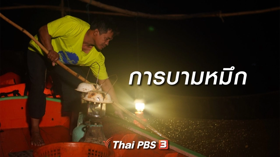 เรียนรู้วิถีไทย : การบามหมึก