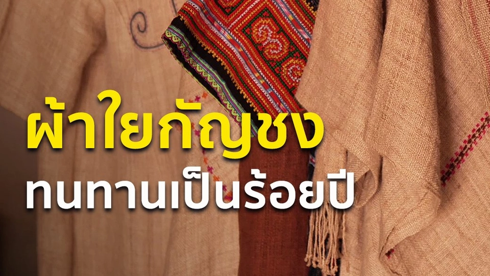 ผ้าใยกัญชง ทนทานเป็นร้อยปี