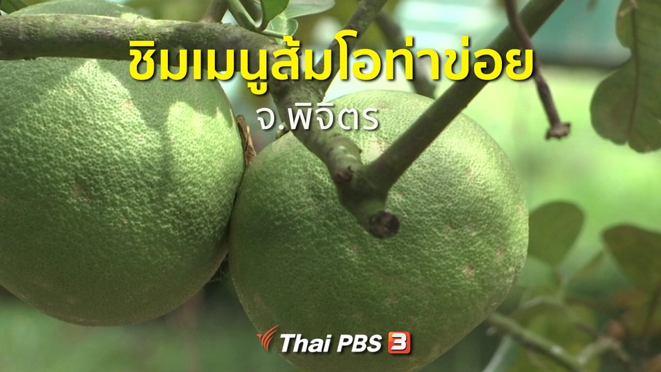 ชุมชนทั่วไทย : ชิมเมนูส้มโอท่าข่อย จ.พิจิตร