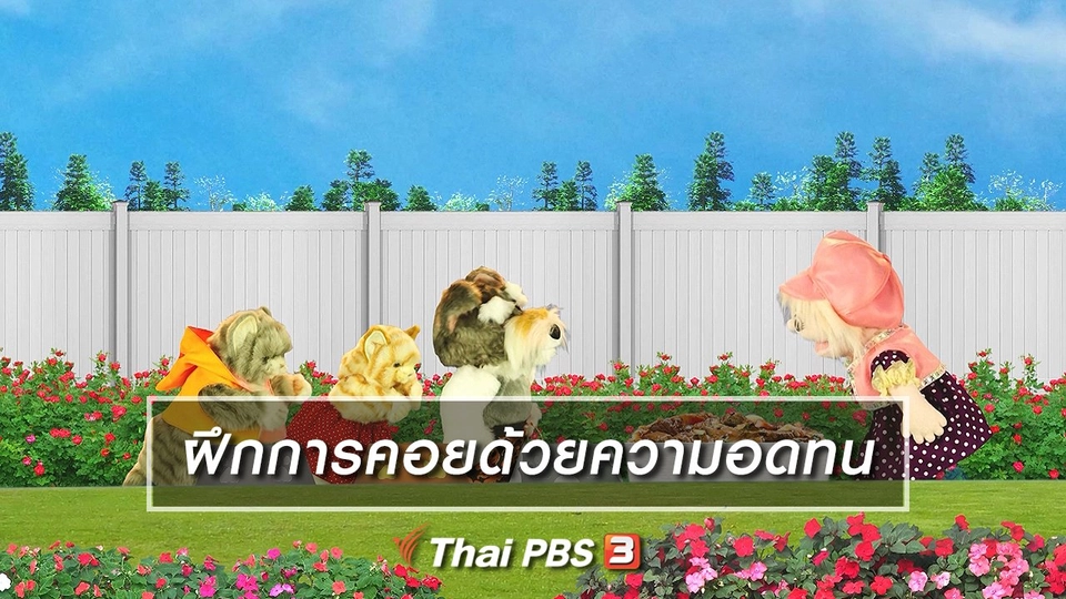 เกร็ดน่ารู้กับตาต้าตีตี้โตโต้ : ฝึกให้เด็กรู้จักคอยด้วยความอดทน