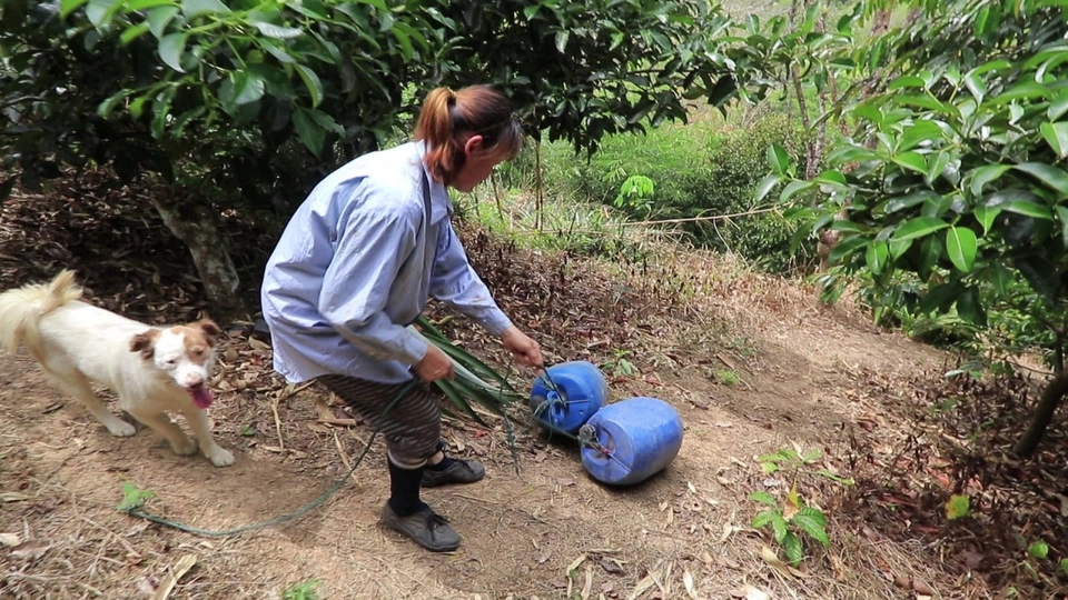 กลิ้งน้ำยางพาราแบบขั้นเทพ