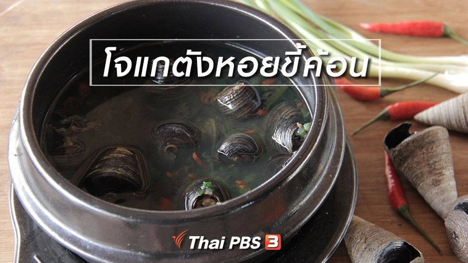 เมนูอาหารฟิวชัน : โจแกตังหอยขี้ค้อน