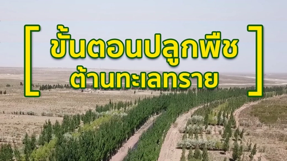 ขั้นตอนปลูกพืชต้านทะเลทราย