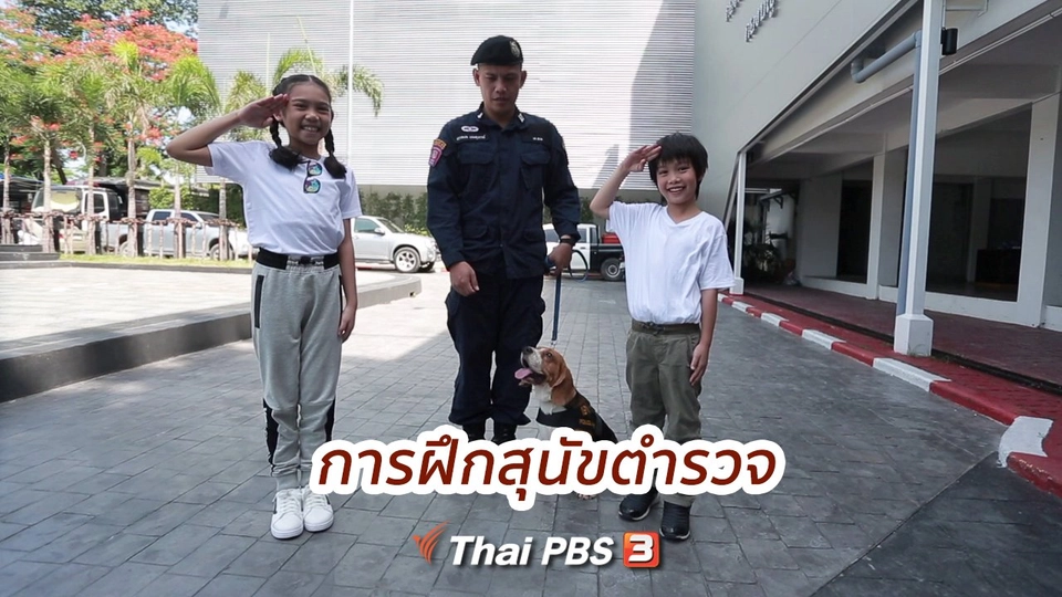 คิดส์ขยายข่าว : การฝึกสุนัขตำรวจ