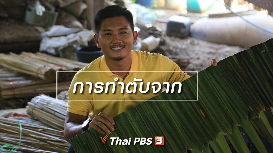 ​เรียนรู้วิถีไทย : การทำตับจาก