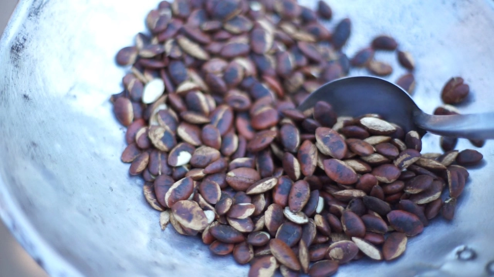 ลูกกระบก หรืออัลมอนด์อีสาน