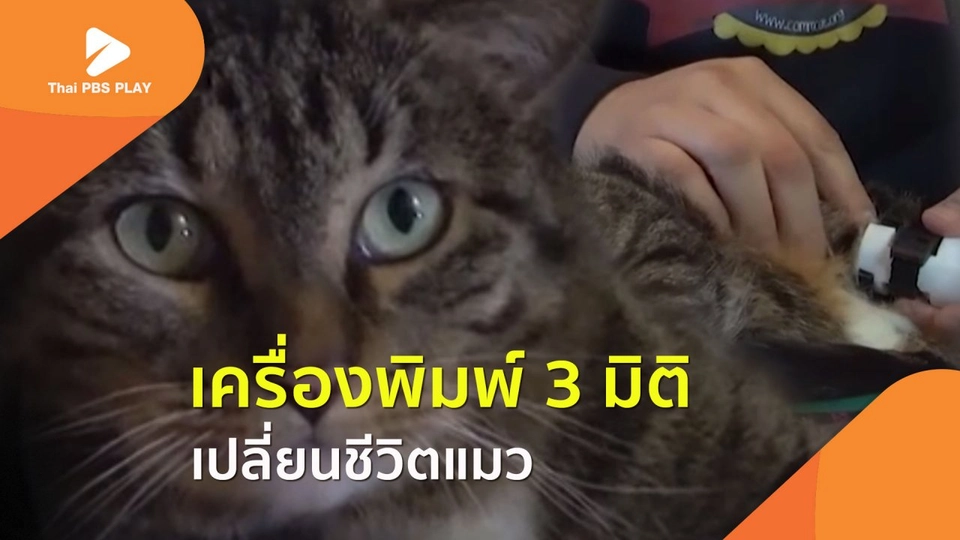 เครื่องพิมพ์ 3 มิติ เปลี่ยนชีวิตแมว