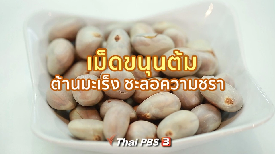 ​กินดี อยู่ดีกับหมอพรเทพ : เม็ดขนุนต้ม ต้านมะเร็ง ชะลอความชรา