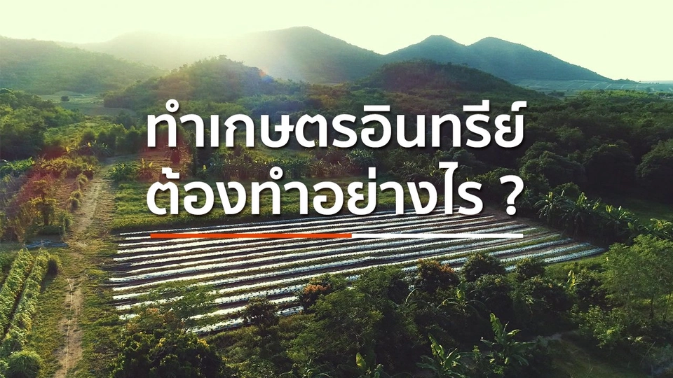 ทำเกษตรอินทรีย์ต้องทำอย่างไร ?