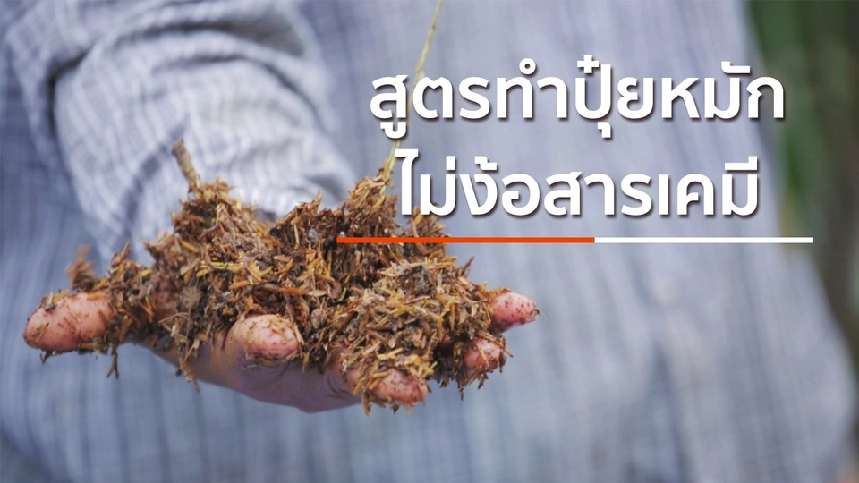 สูตรปุ๋ยหมักไม่ง้อสารเคมี