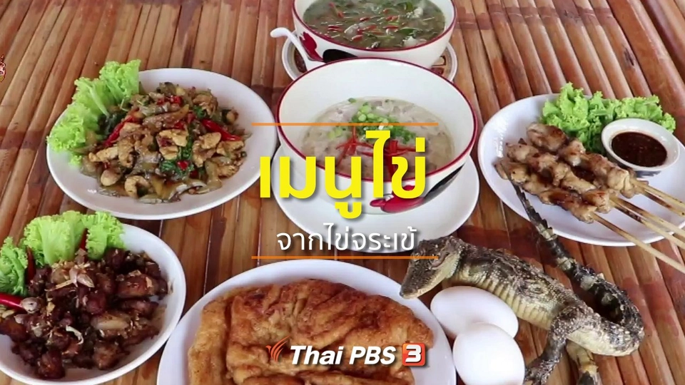 อาชีพทั่วไทย : เพิ่มมูลค่าไข่จระเข้ทำไข่เจียวและไข่ตุ๋น