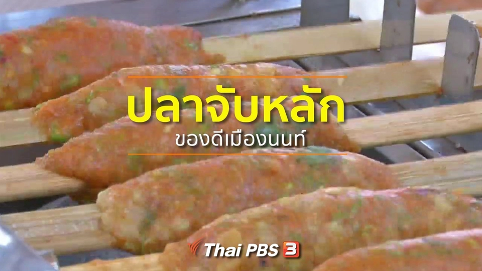 ​อาชีพทั่วไทย : ปลาจับหลักของดีเมืองนนท์