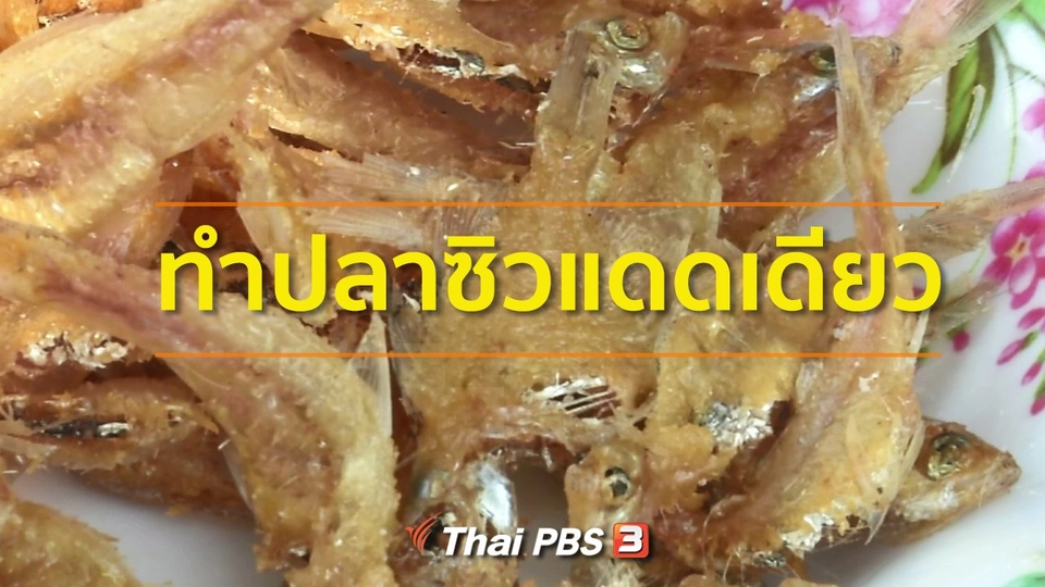 อาชีพทั่วไทย :  แปรรูปปลาซิวขายสร้างรายได้