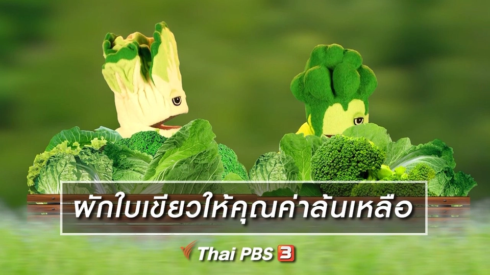 เกร็ดน่ารู้กับตาต้าตีตี้โตโต้ : ผักใบเขียวให้คุณค่าล้นเหลือ