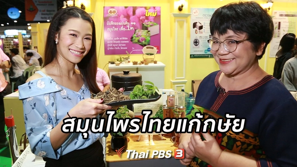 รู้สู้โรค : สมุนไพรไทยแก้กษัย ไตพิการ