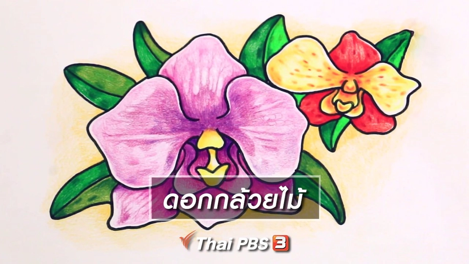 สอนศิลป์สอนวาด : ดอกกล้วยไม้