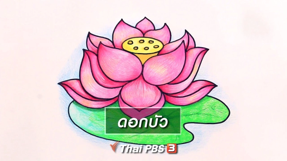 สอนศิลป์สอนวาด : ดอกบัว