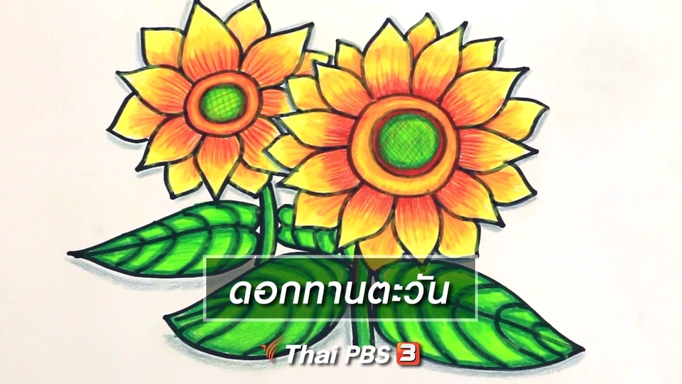 สอนศิลป์สอนวาด : ดอกทานตะวัน