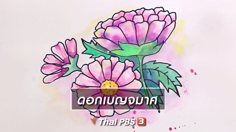 สอนศิลป์สอนวาด : ดอกเบญจมาศ