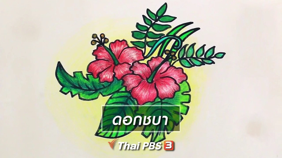 สอนศิลป์สอนวาด : ​ดอกชบา