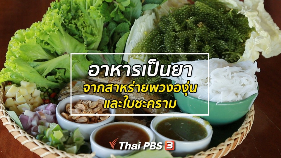 ​รู้สู้โรค : อาหารเป็นยาจากสาหร่ายพวงองุ่น และใบชะคราม