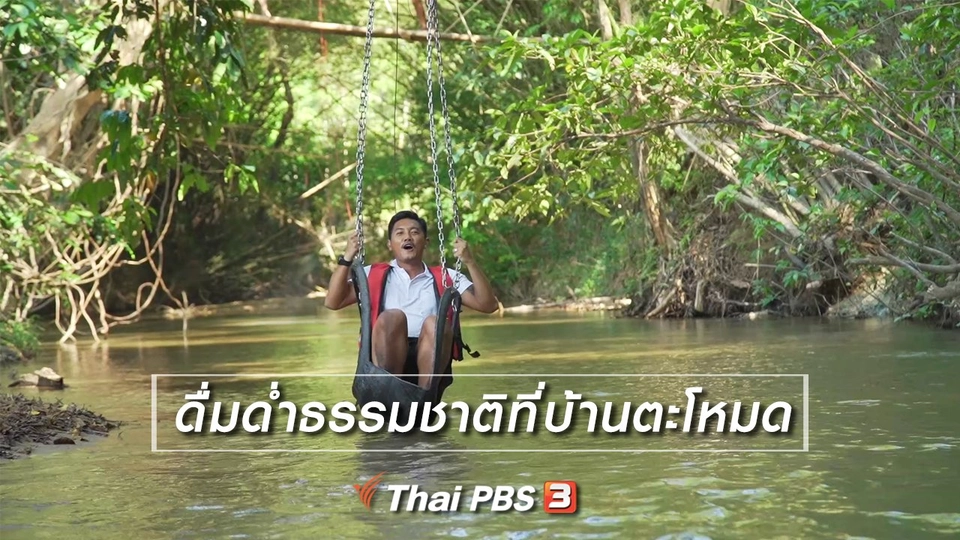 เรียนรู้วิถีไทย : ดื่มด่ำธรรมชาติที่บ้านตะโหมด