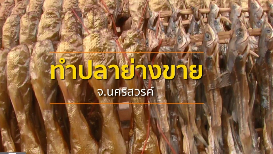 ชุมชนทั่วไทย : ชาวท่าตะโกยึดอาชีพทำปลาย่างส่งขายเป็นรายได้เสริม