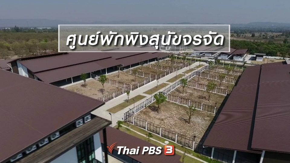 ตะลุยทั่วไทย : ศูนย์พักพิงสุนัขจรจัด
