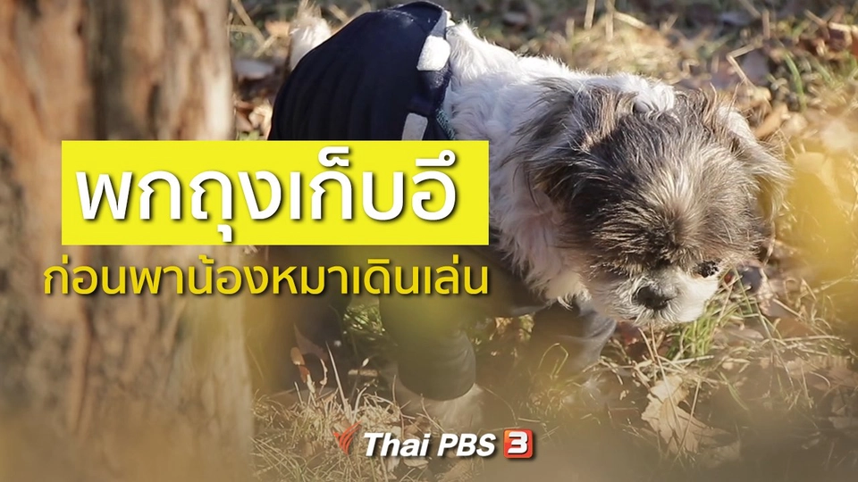 รู้ให้ลึกเรื่องญี่ปุ่น : พกถุงเก็บอึก่อนพาน้องหมาเดินเล่น