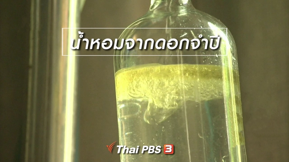 ​ตะลุยทั่วไทย : น้ำหอมจากดอกจำปี