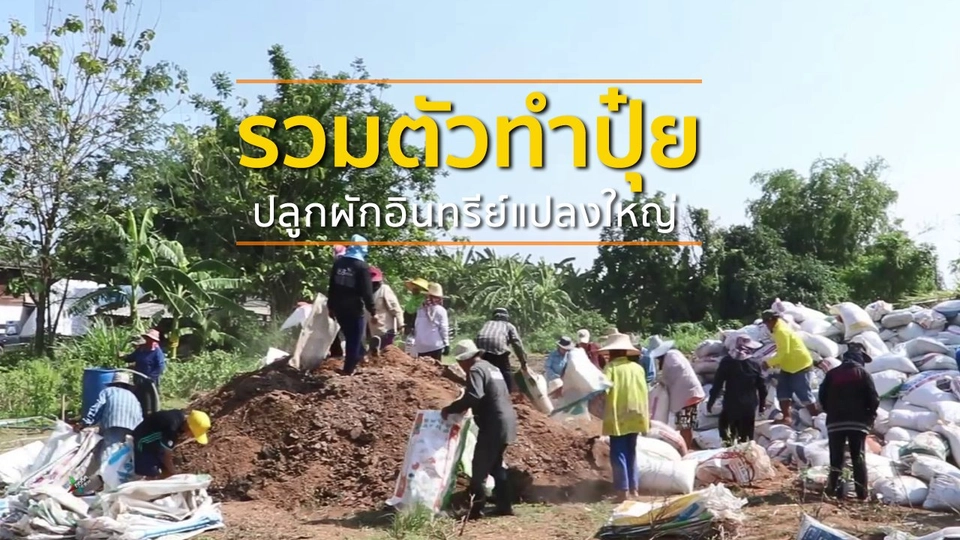 ชุมชนทั่วไทย : รวมตัวทำปุ๋ยมุ่งเป้าทำผักอินทรีย์แปลงใหญ่