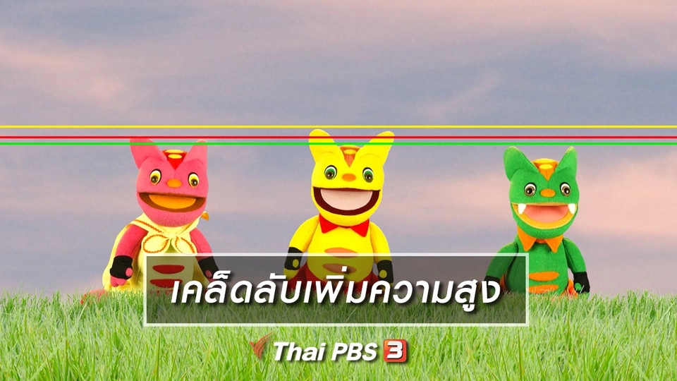 เกร็ดน่ารู้กับตาต้าตีตี้โตโต้ : เคล็ดลับเพิ่มความสูง