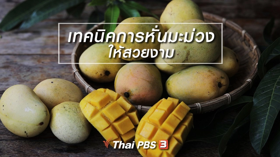 เมนูอาหารฟิวชัน : เทคนิคการหั่นมะม่วงให้สวยงาม